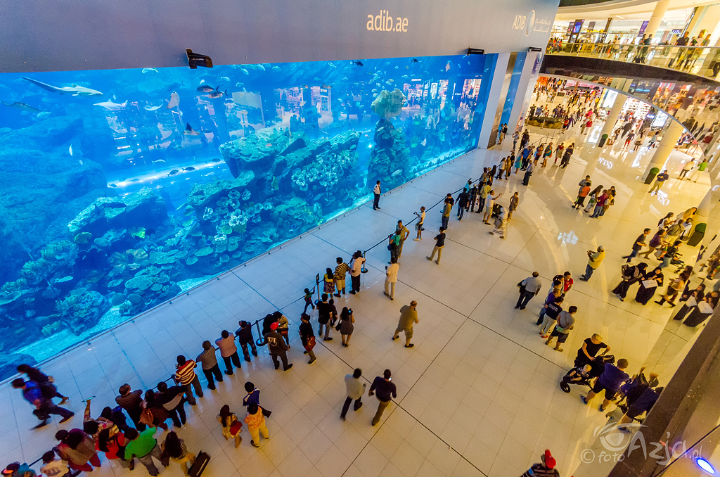 Dubai Aquarium w Dubai Mall