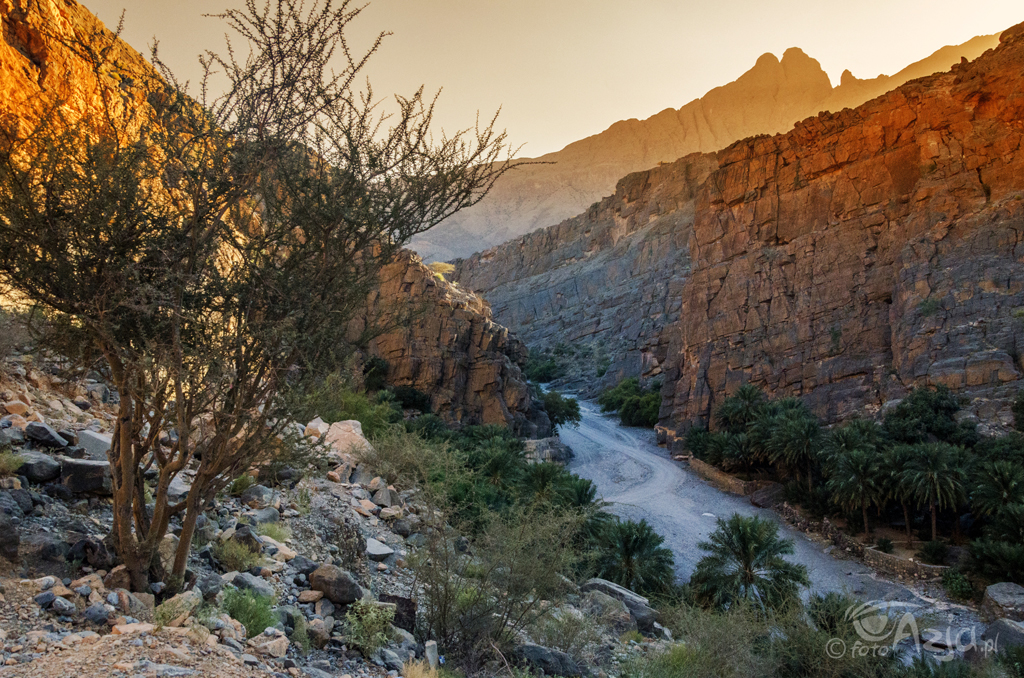 Droga na dno Wielkiego Kanionu Arabii